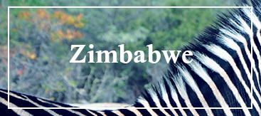 Zimbabwe-voyage