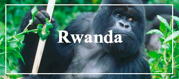 zazu-voyage-rwanda-destinations