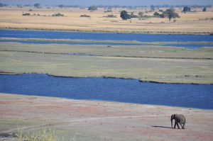 VOYAGE LUXE AFRIQUE SAFARI BOTSWANA CHUTES VICTORIA LE CAP