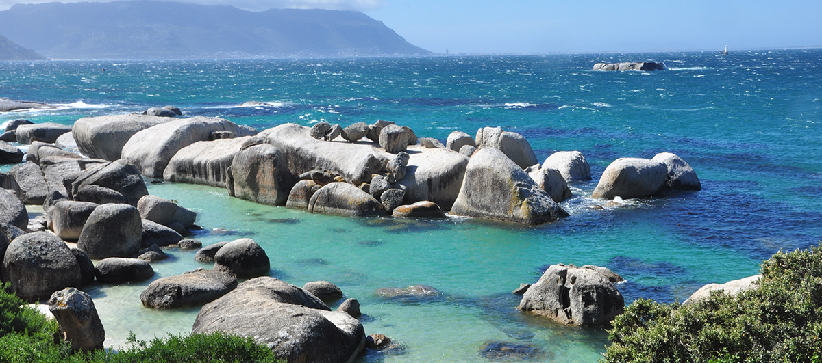 plage de boulders peninsule du Cap Afrique du Sud zazu voyage