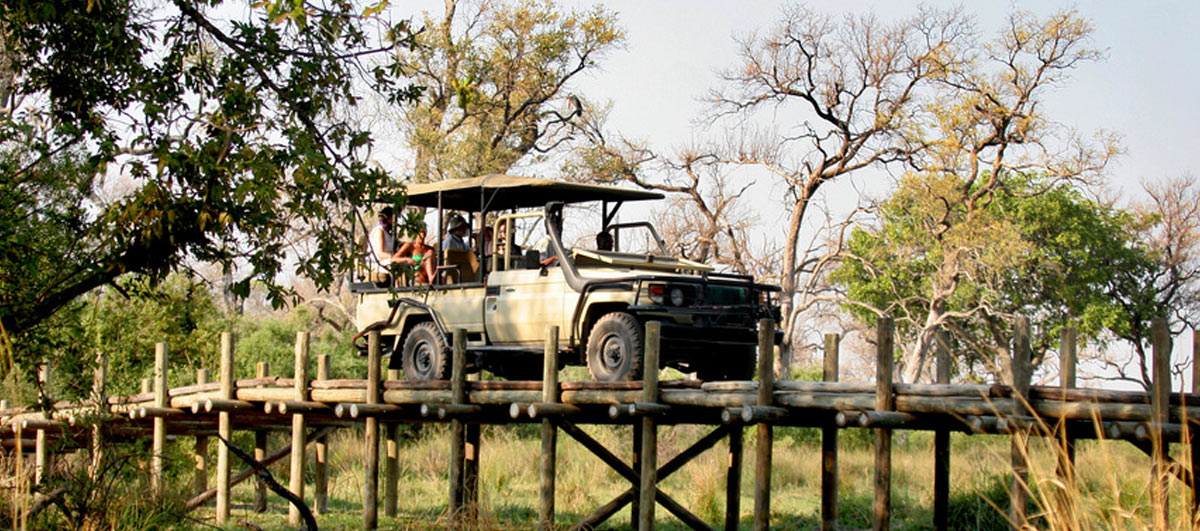 Voyage de noces au Botswana