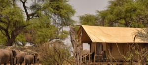 somalisa-camp safari zimbabwe camp de luxe voyage de noce afrique