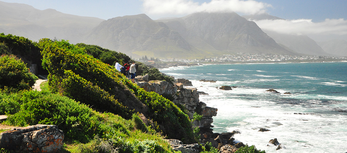 Hermanus-afrique du sud