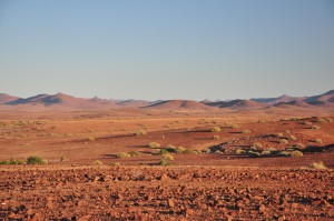 paysage namibie desert rhino camp palmwag