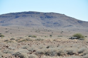 rhinoceros noir namibie desert rhino camp wilderness