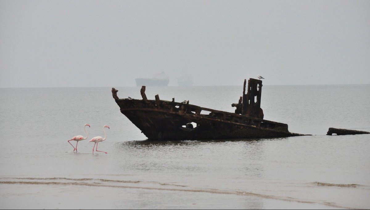 voyage famille swakopmund flamands roses