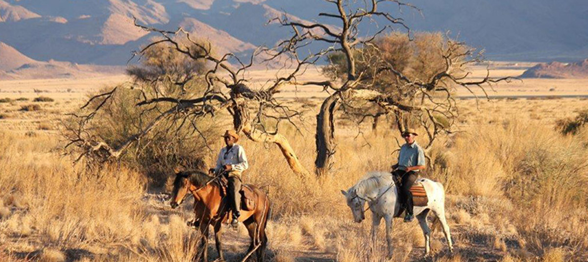 voyage equitation namibie desert du namib