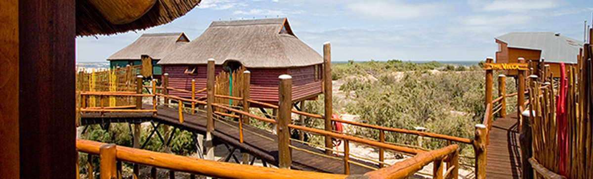 voyage famille swakopmund HEBERGEMENT CABANE DANS LES ARBRES