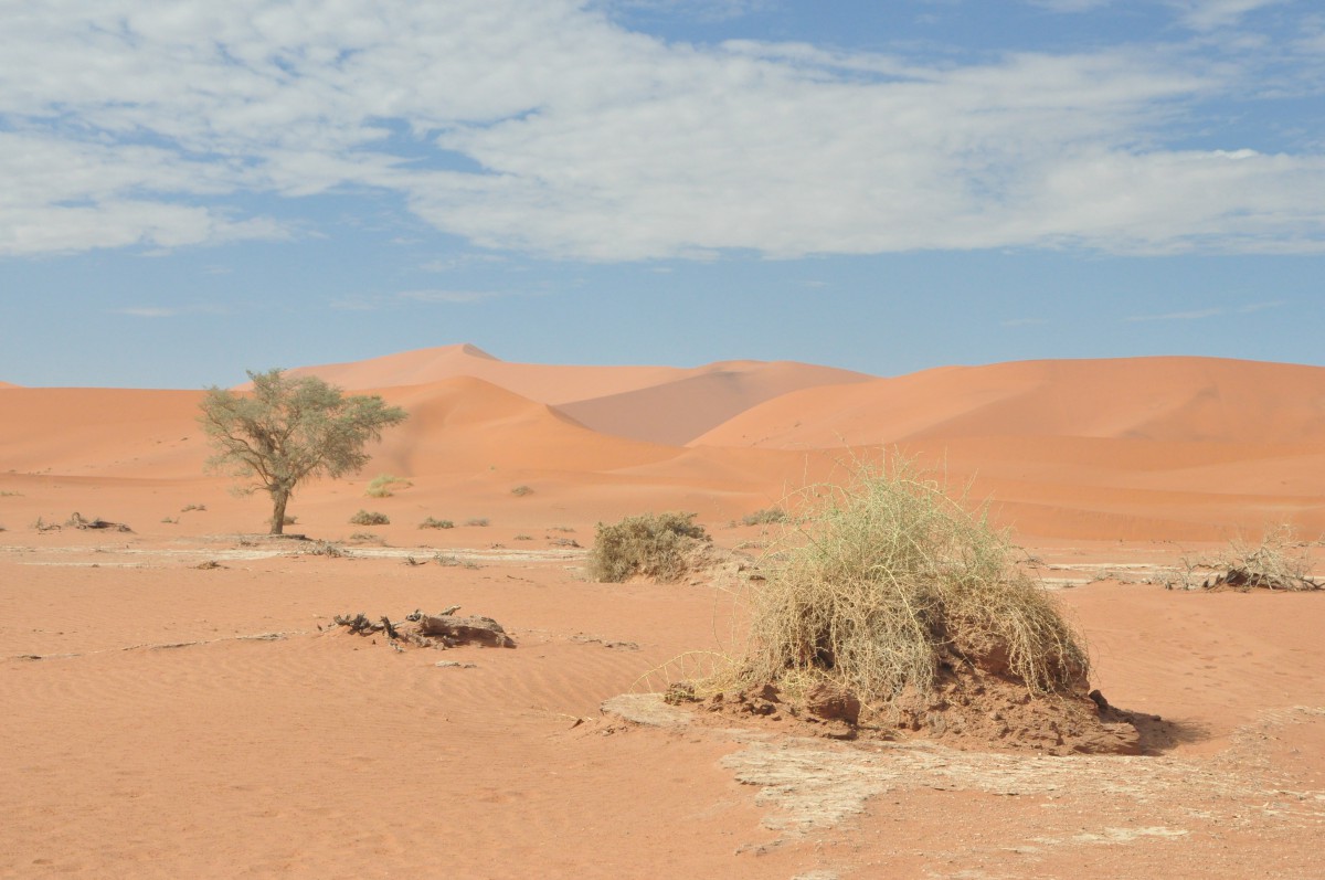 Desert du Namib,dunes