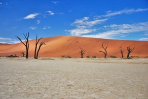 namib desert namibia deadvlei