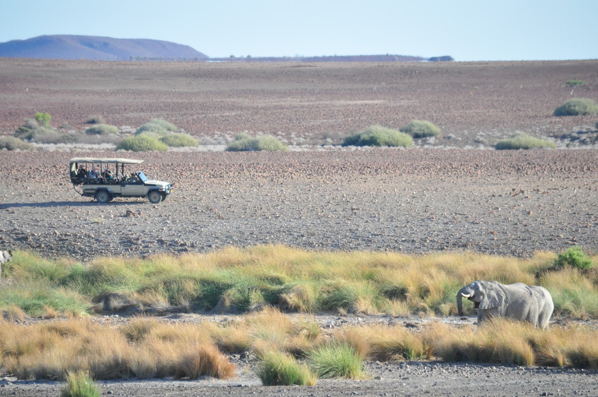 voyage famille desert rhino camp Namibie safari