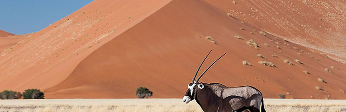 Voyage de Noces en Namibie-Afrique-Safaris-Himbas