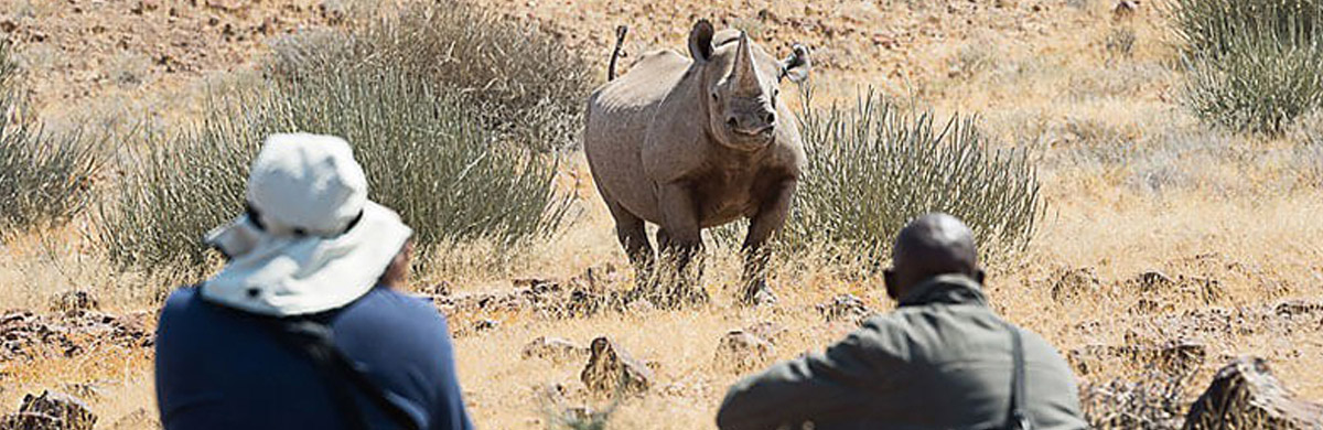 voyage famille desert rhino camp Namibie safari rhino noir