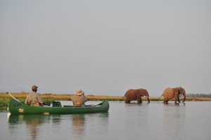 Canoe sur le Zambeze Mana Pools Elephants Zimbabwe