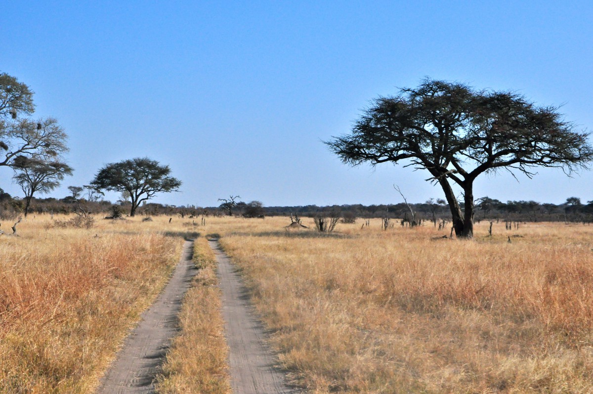 piste au zimbabwe