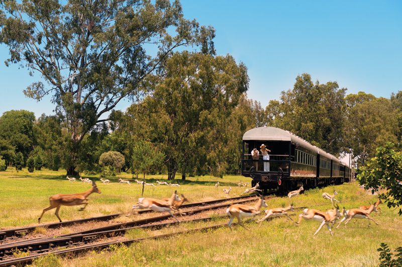 safari en train voyage luxe zimbabwe afrique du sud