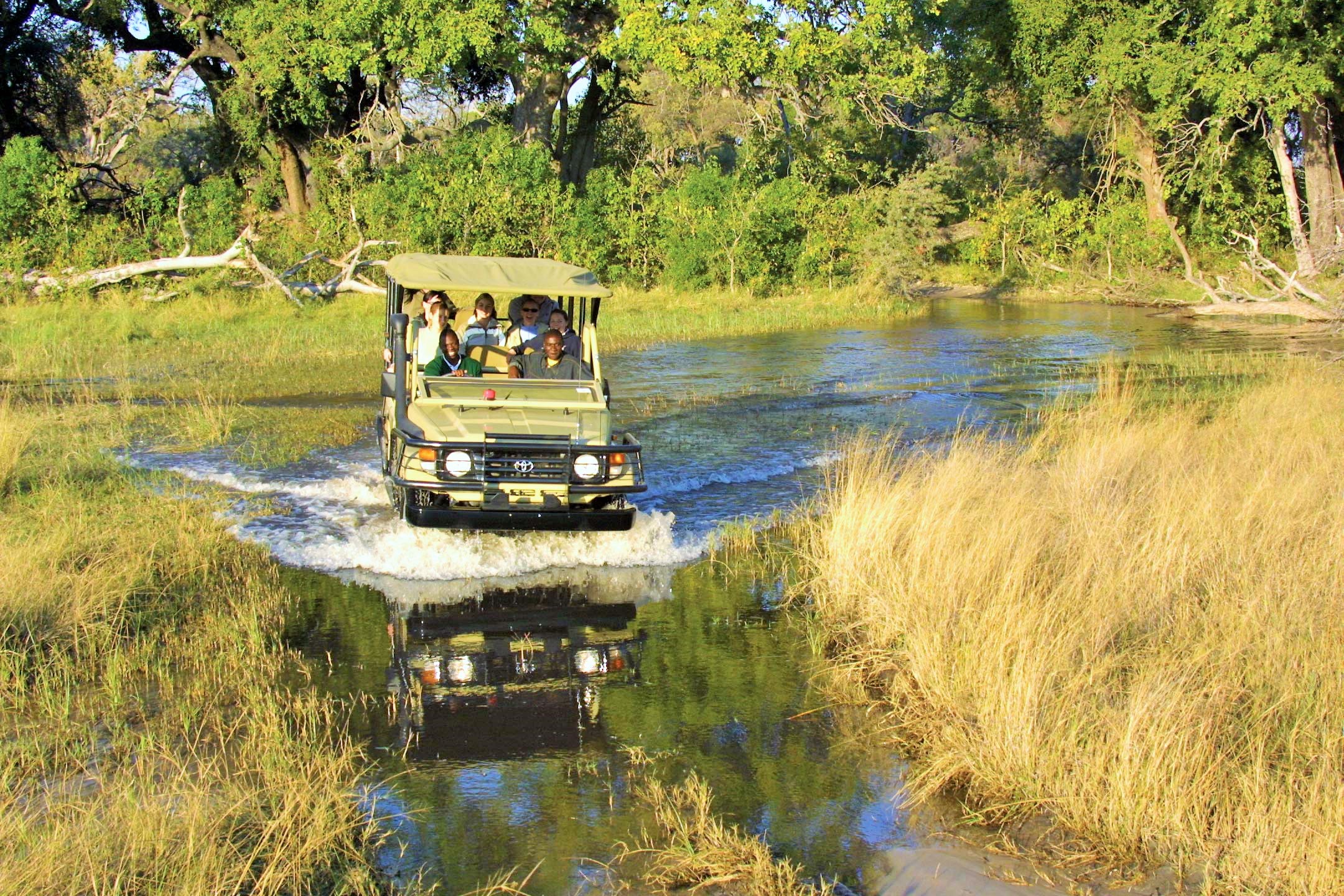 safari au Botswana