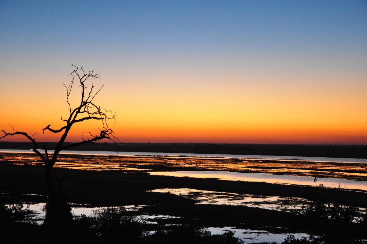 coucher de soleil chobe botswana safari