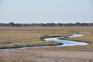 Riviere de Chobe Botswana