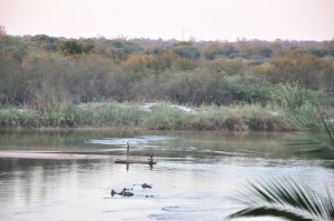 mokoro bande de caprivi-region du zambeze-namibie