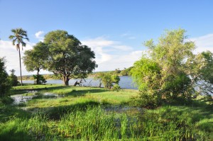 Fleuve du Zambeze Zimbabwe