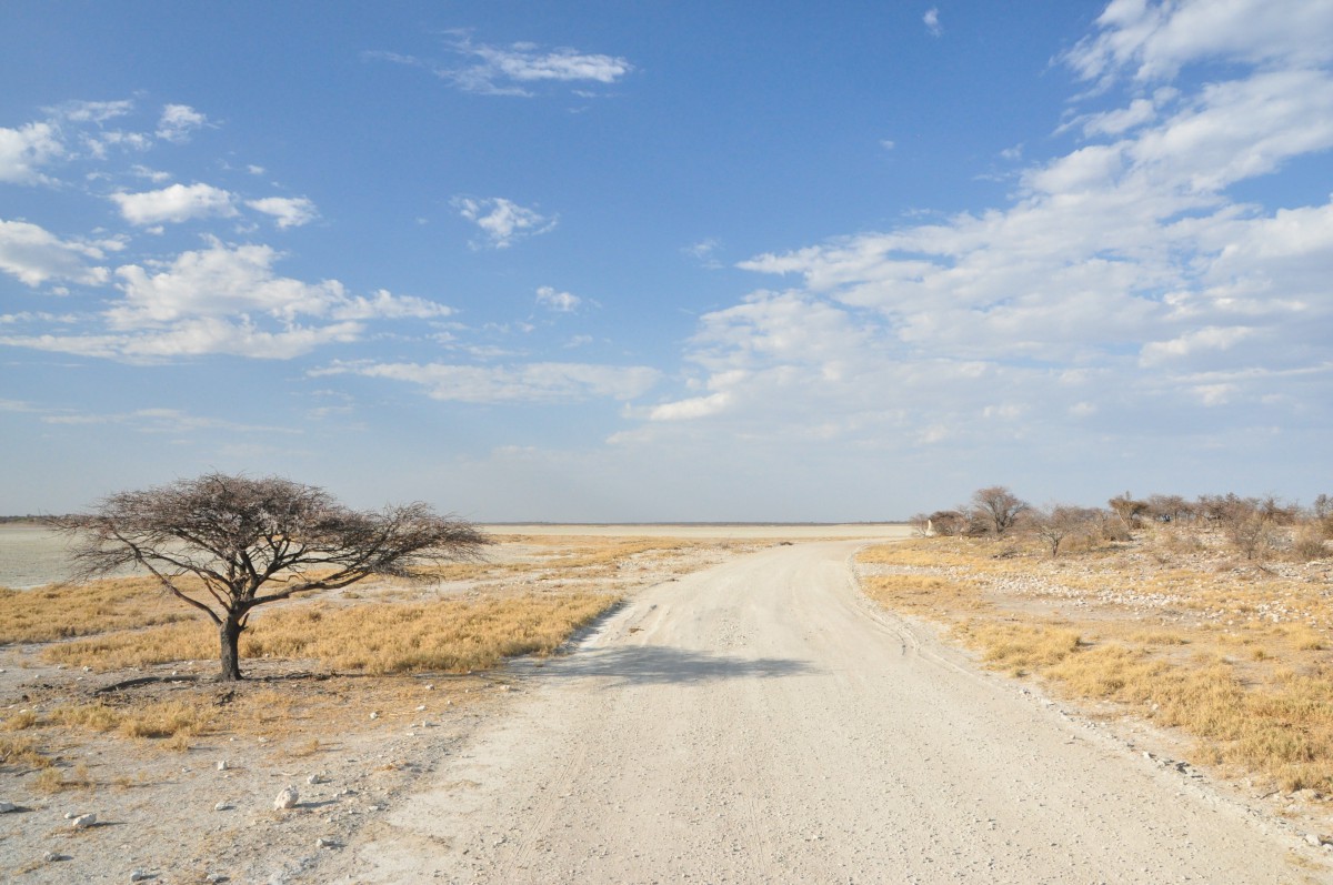 AUTO-TOUR NAMIBIE SAFARIS AFRIQUE AVENTURE