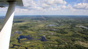 survol en avion coucou du Delta de l'Okavango, Botswana Safari