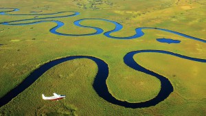 Le serpent du Delta survol avion Botswana Safari