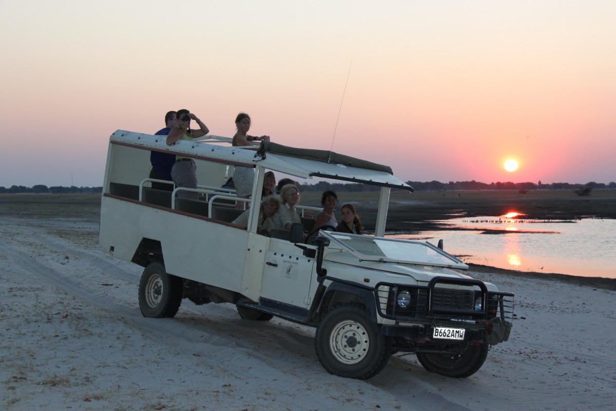 safari mobile au botswana afrique