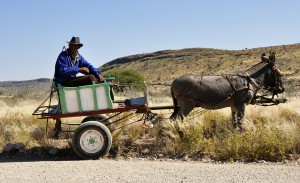 char a mulets namibie voyage authentique