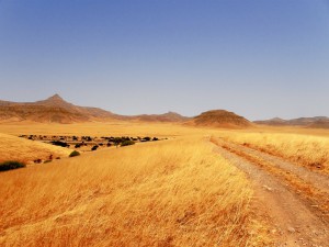 paysage nature namibie