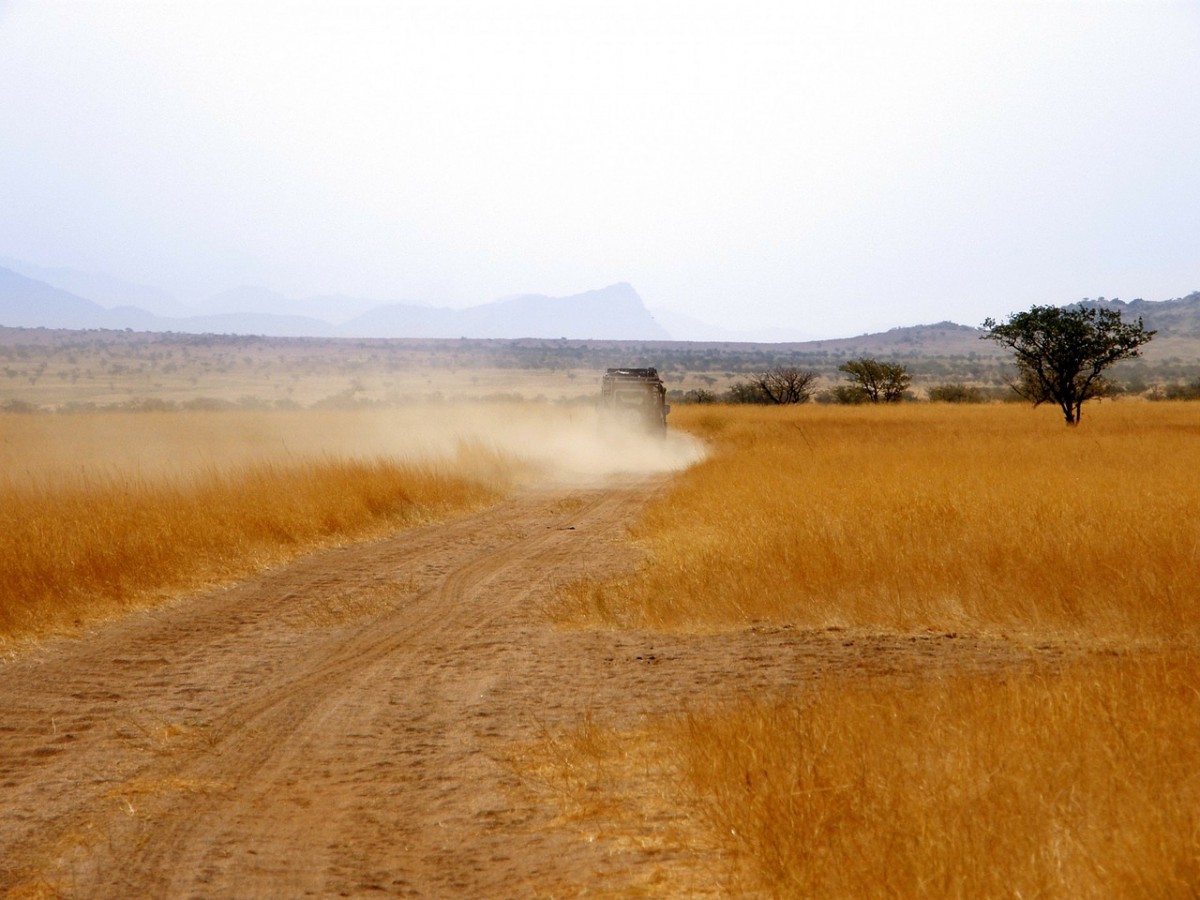 safari 4*4 savanne namibie