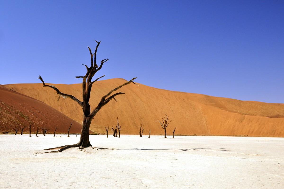 deadvlei namibie