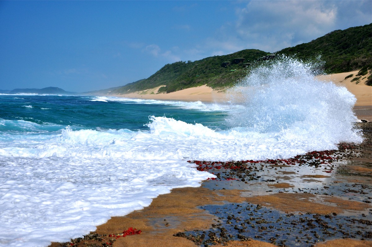 ocean indien Mozambique-afrique