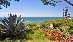 paysage de reve a vilanculos-mozambique