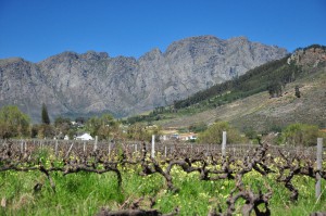 franschhoek afrique du sud vignobles route des vin