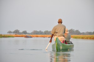 canoe zambeze mana pools zimbabwe