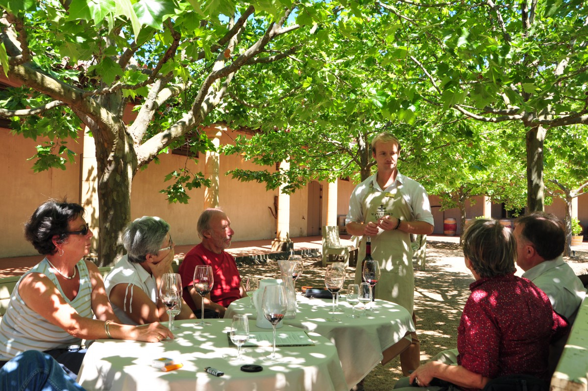 degustation vins sud africains franschhoek