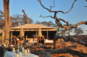 Somalisa Camp safari zimbabwe hwange