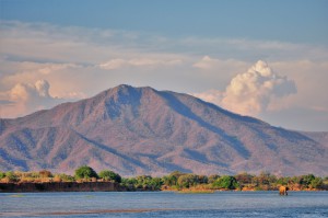 PARC NATIONAL DU LOWER ZAMBEZI ZAMBIE