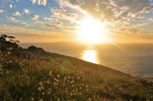 LE CAP AFRIQUE DU SUD VOYAGE