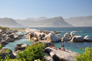 SIMON S TOWN AFRIQUE DU SUD BOULDERS BEACH