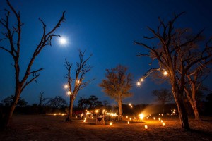 BUSH DINNER AFRIQUE DU SUD LONDOLOZI PARC DU KRUGER