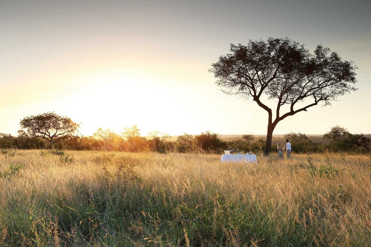 VOYAGE LUXE AFRIQUE KRUGER