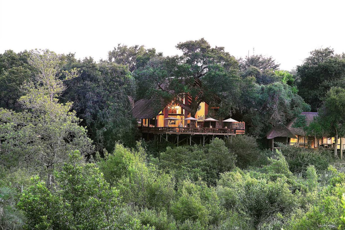 voyage afrique du sud londolozi kruger