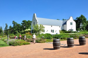 region des vins afrique du sud sejour oenologique