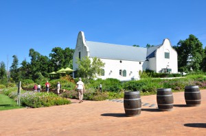 region des vins afrique du sud sejour oenologique