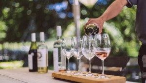 degustation de vins sud africain franschhoek