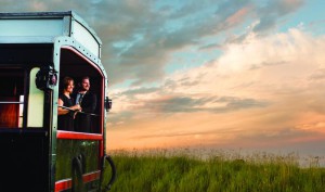 Safari dans le bush en train Rovos plateforme