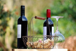 voyage afrique du sud region des vins degustations